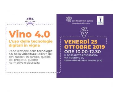 vino_4