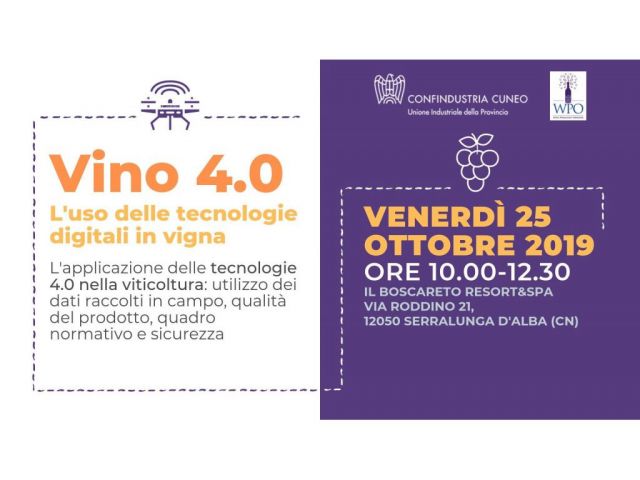 vino_4