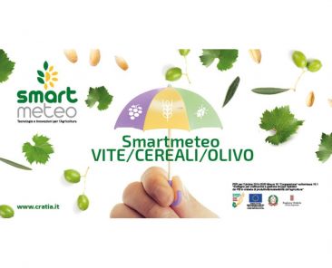 smart