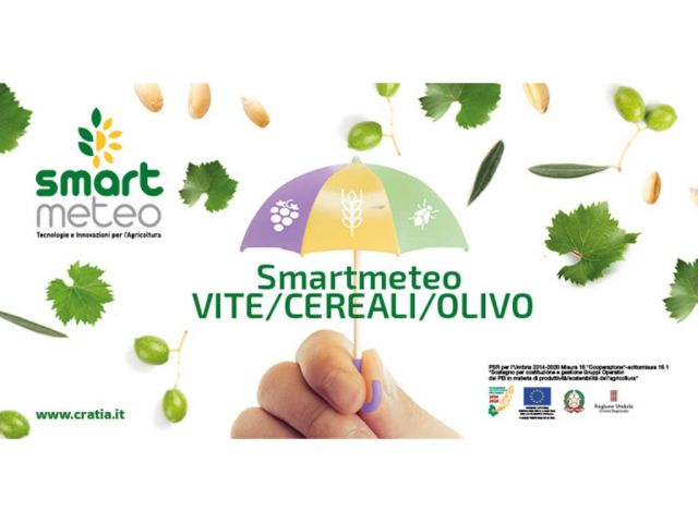 smart