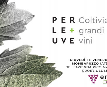 cover sito (2)