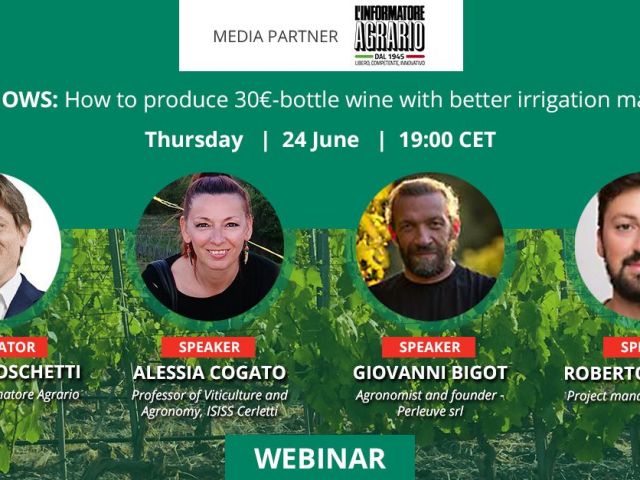 webinar